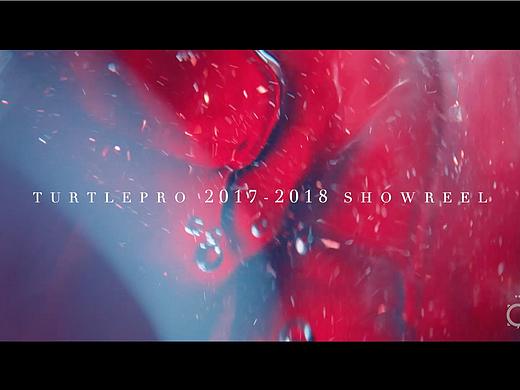 TURTLEPRO 2018 SHOWREEL