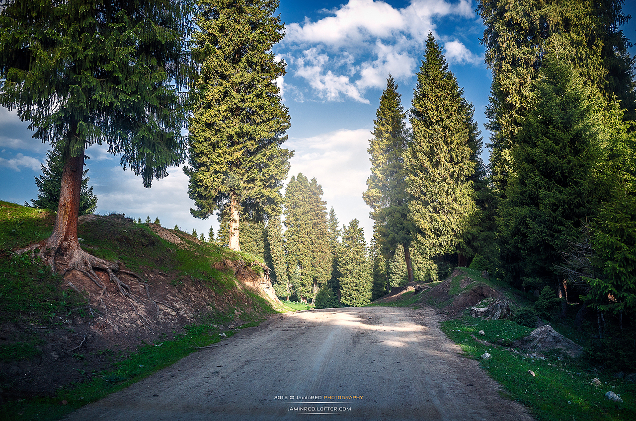 「行摄之路」夏日未完,摄影不休