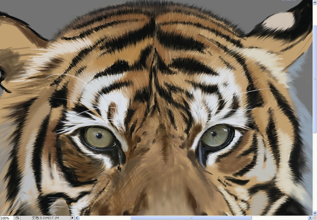 Tiger(图ZMTEyOTIxMTI=) - 创作习作 - 站酷设计师SW伯爵原创素材 - 站酷ZCOOL