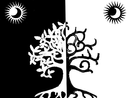 黑白正负形对比