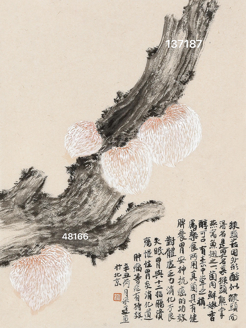 宋建花鸟画作品价格（图ZMzgyMDYzNTky） - 绘画 - 站酷设计师艺惠藏2018原创素材 - 站酷ZCOOL