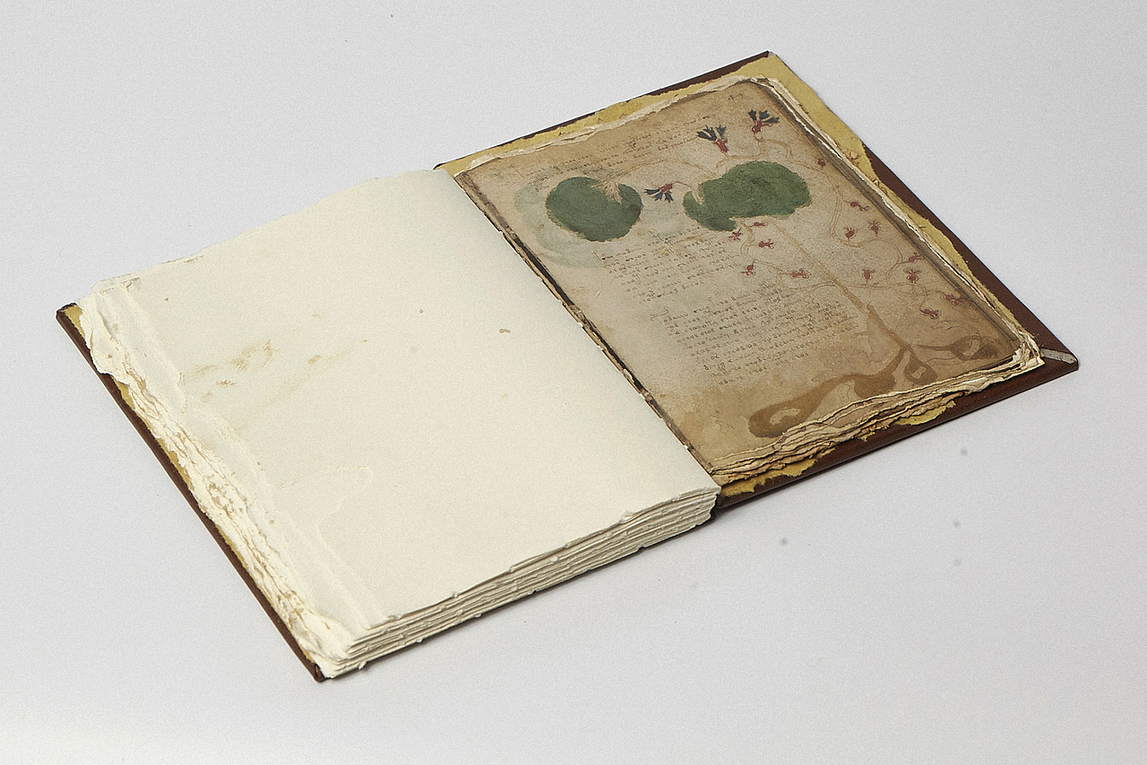 一本神秘的书籍《Voynich manuscript》（伏尼契手稿）（图ZODEwOTI3NzI=） - 书籍/画册 - 站酷设计师天佑书房原创素材 - 站酷ZCOOL