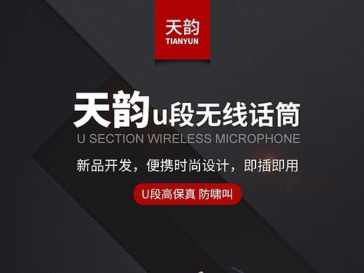 麦克风详情
