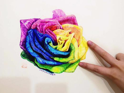 彩铅 七彩玫瑰 练习