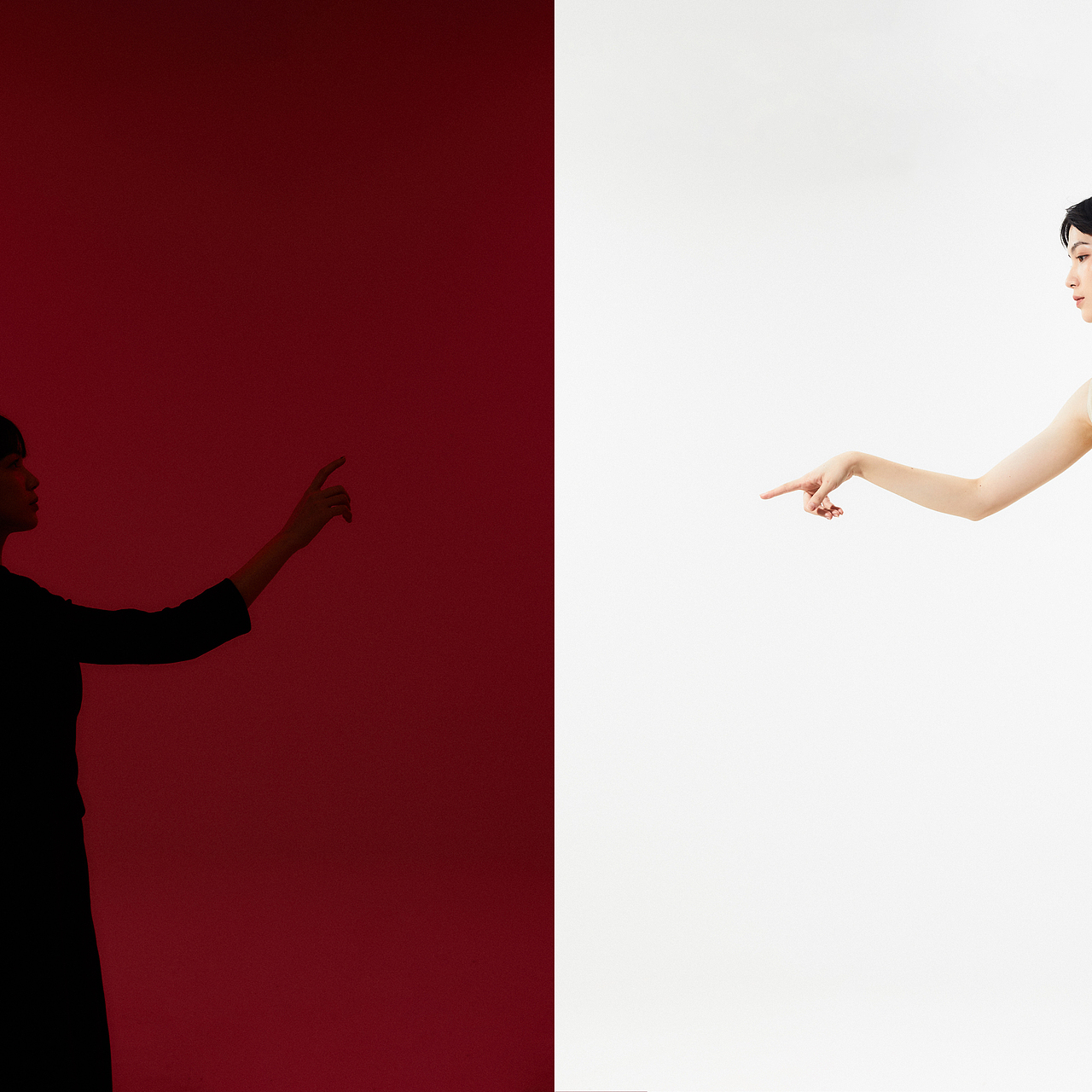 自我状态的对立面