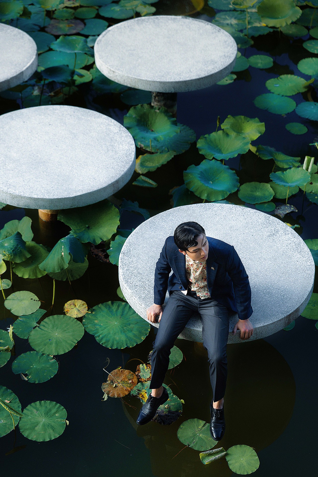 晚风吻尽荷花叶