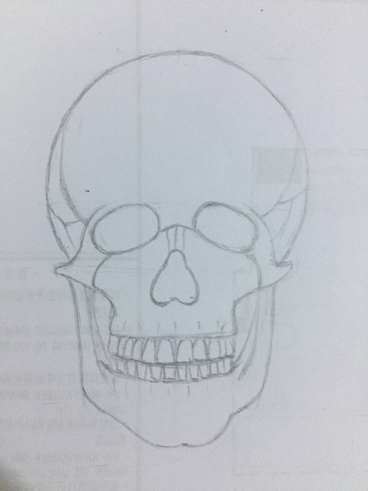 人体头骨画法图片
