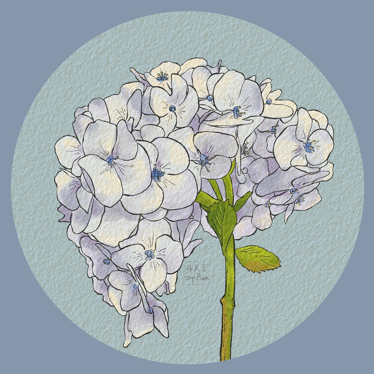 一组水彩花卉练习