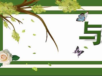 平面设计8（个人主页-ZMzQ3MTI2ODQ=） - 宣传物料 - 站酷设计师鱼子酱kikiko原创素材 - 站酷ZCOOL