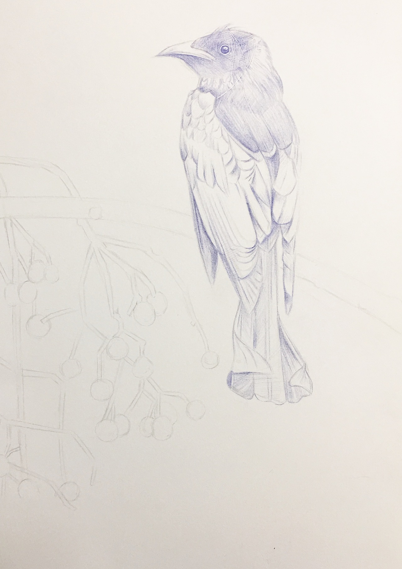 每天进步一点点