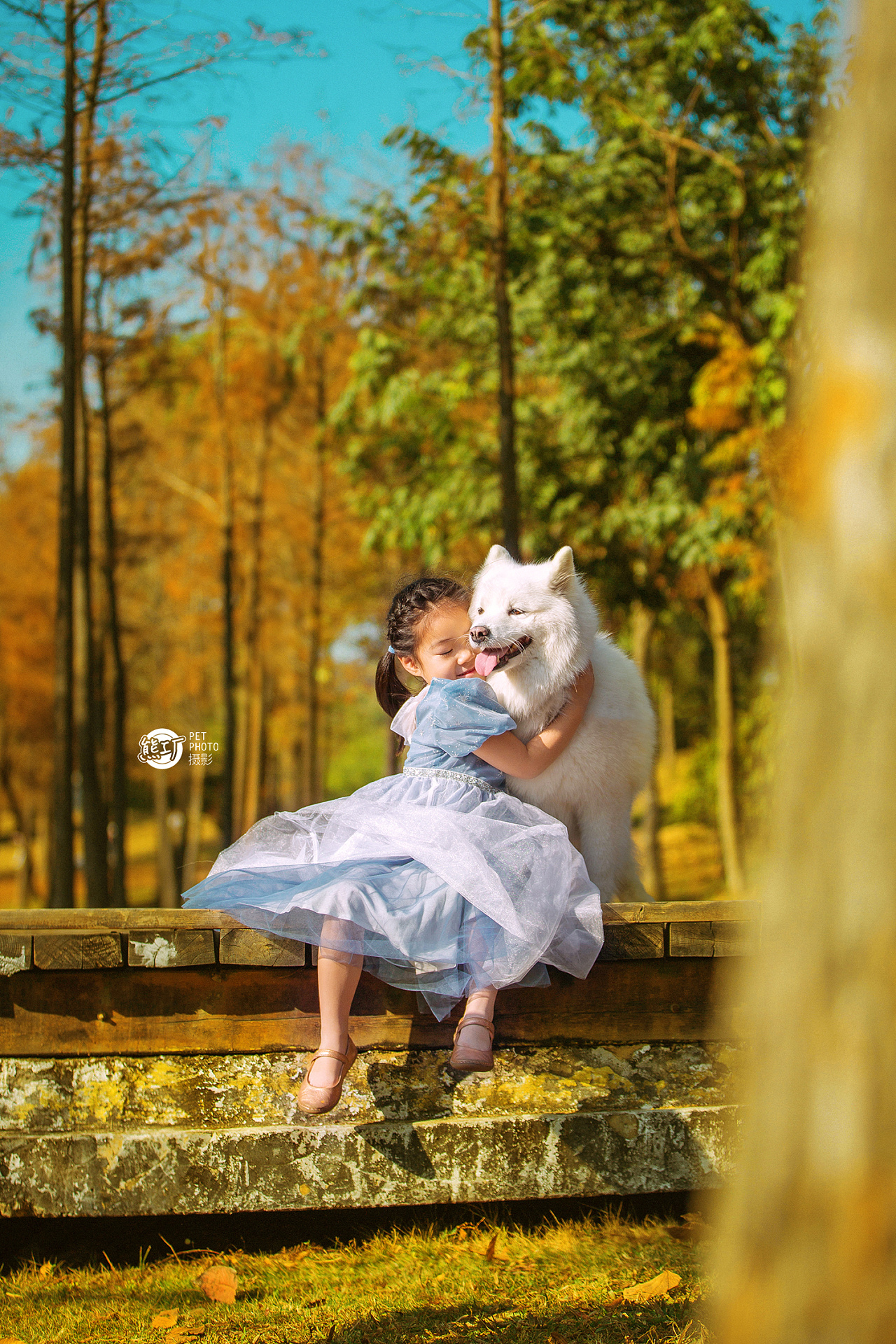 童话故事里的小女孩和她的萨摩耶|摄影|宠物摄影|熊工厂宠物摄影 - 原创作品 - 站酷 (ZCOOL)