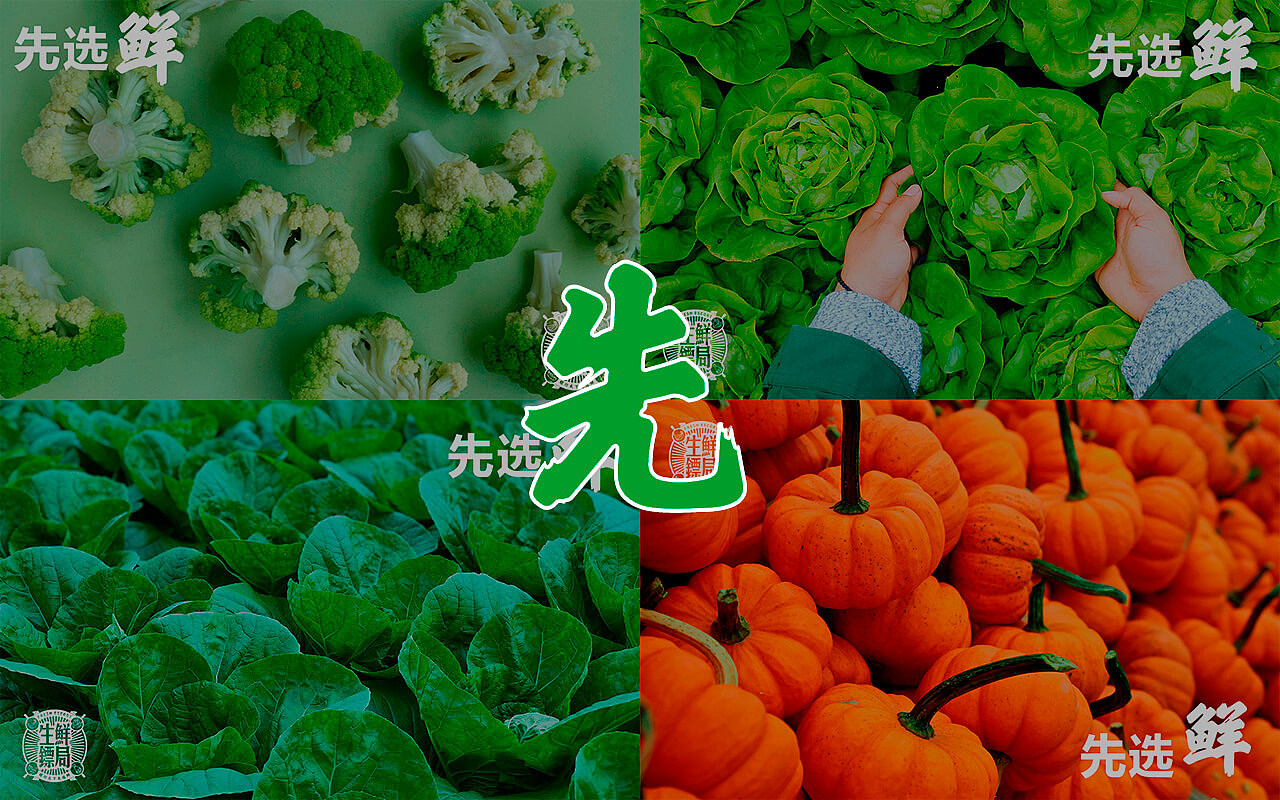 生鲜镖局品牌形象设计