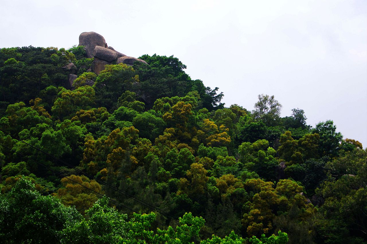 綠（圖ZNDg4MzY1ODg=） - 風(fēng)光攝影 - 站酷設(shè)計(jì)師特大號(hào)小米蟲原創(chuàng)素材 - 站酷ZCOOL