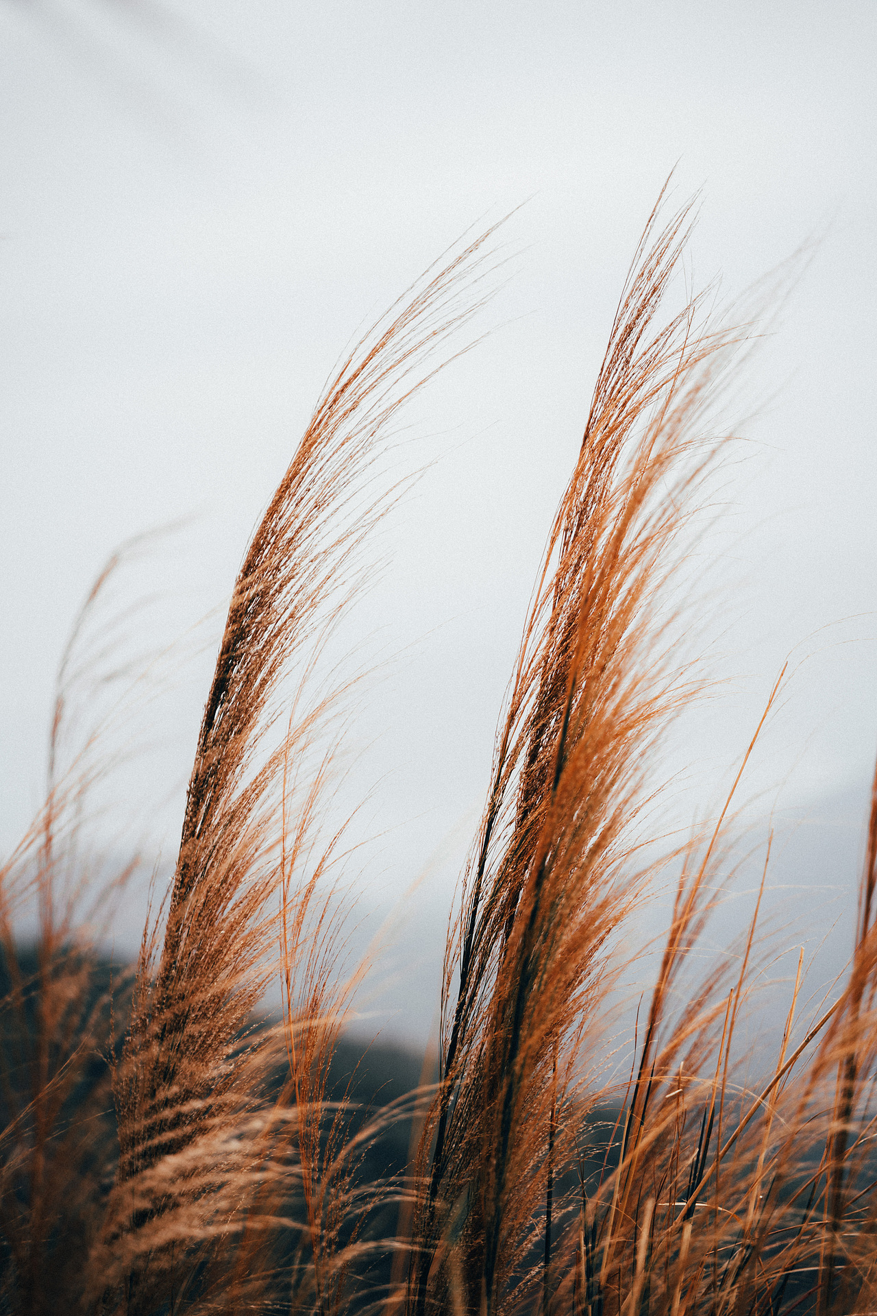 自己的路,自己欣赏。