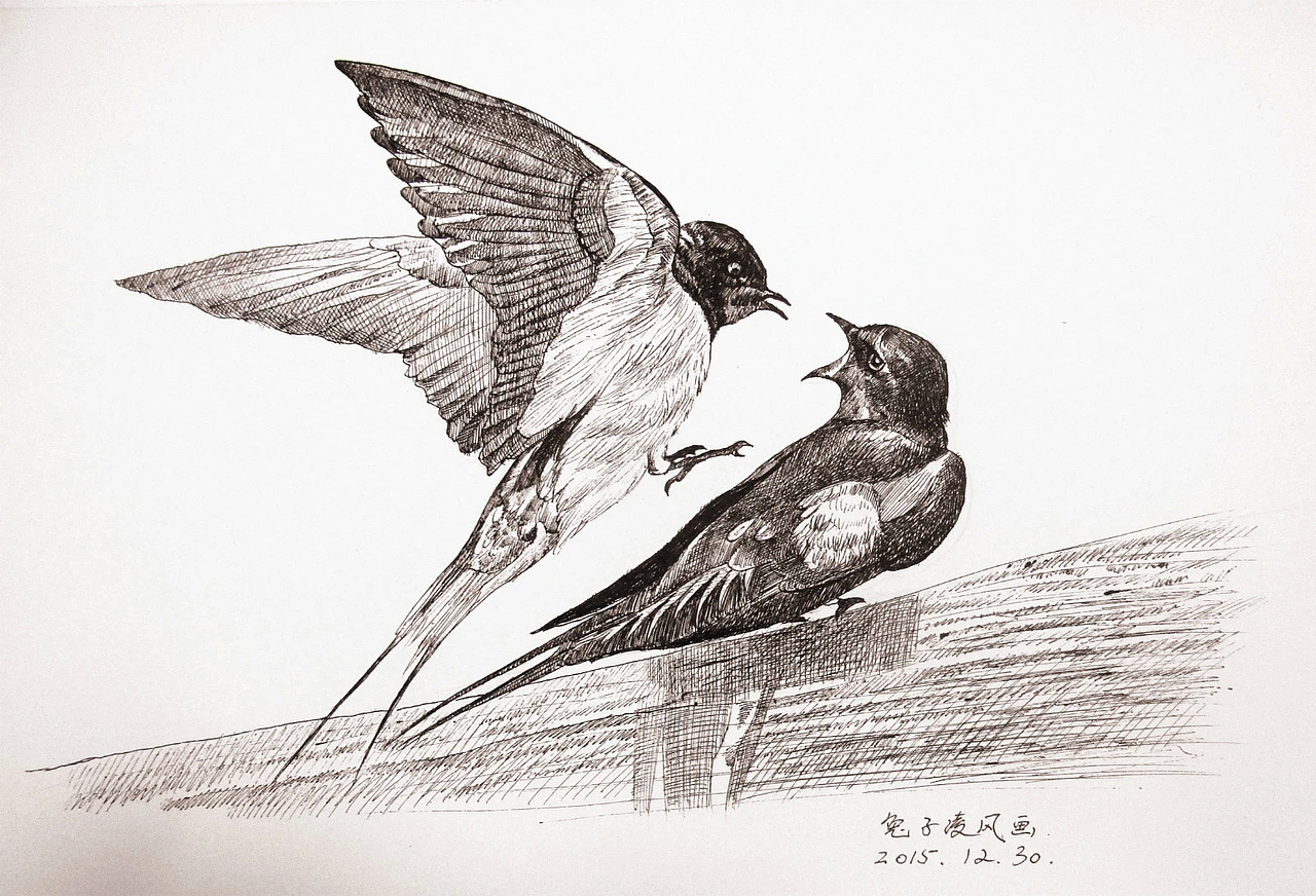 最近的中性笔画动物作品