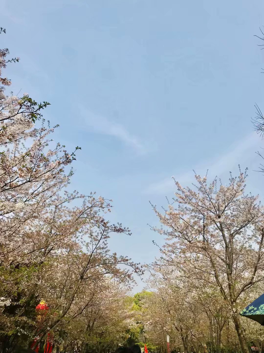 w小吳同學(xué)的個人主頁（封面預(yù)覽） - 主頁封面設(shè)置 - 站酷設(shè)計師w小吳同學(xué)原創(chuàng)素材 - 站酷ZCOOL