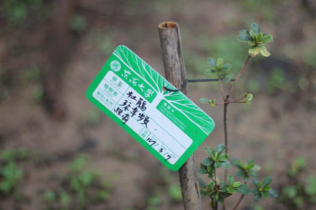 仲夏宝岛行【台湾】第三辑