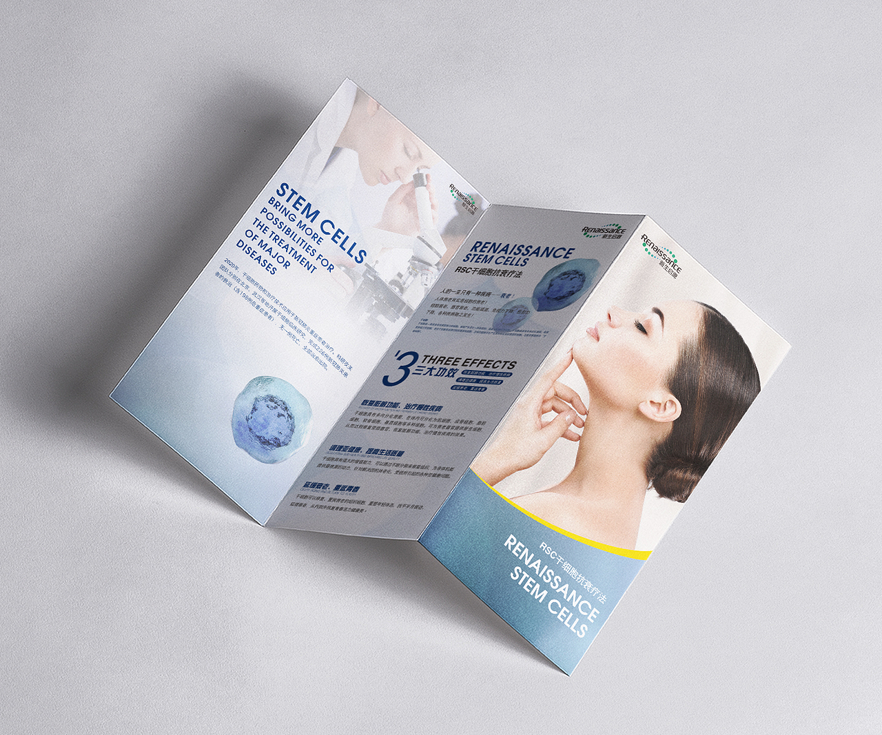 大健康行业品牌理念宣传折页