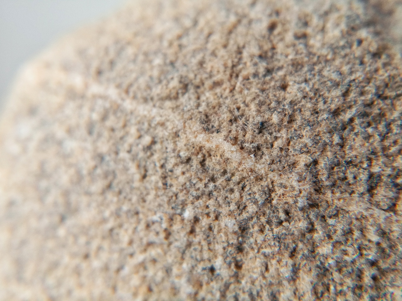 手机摄影 | 石头记