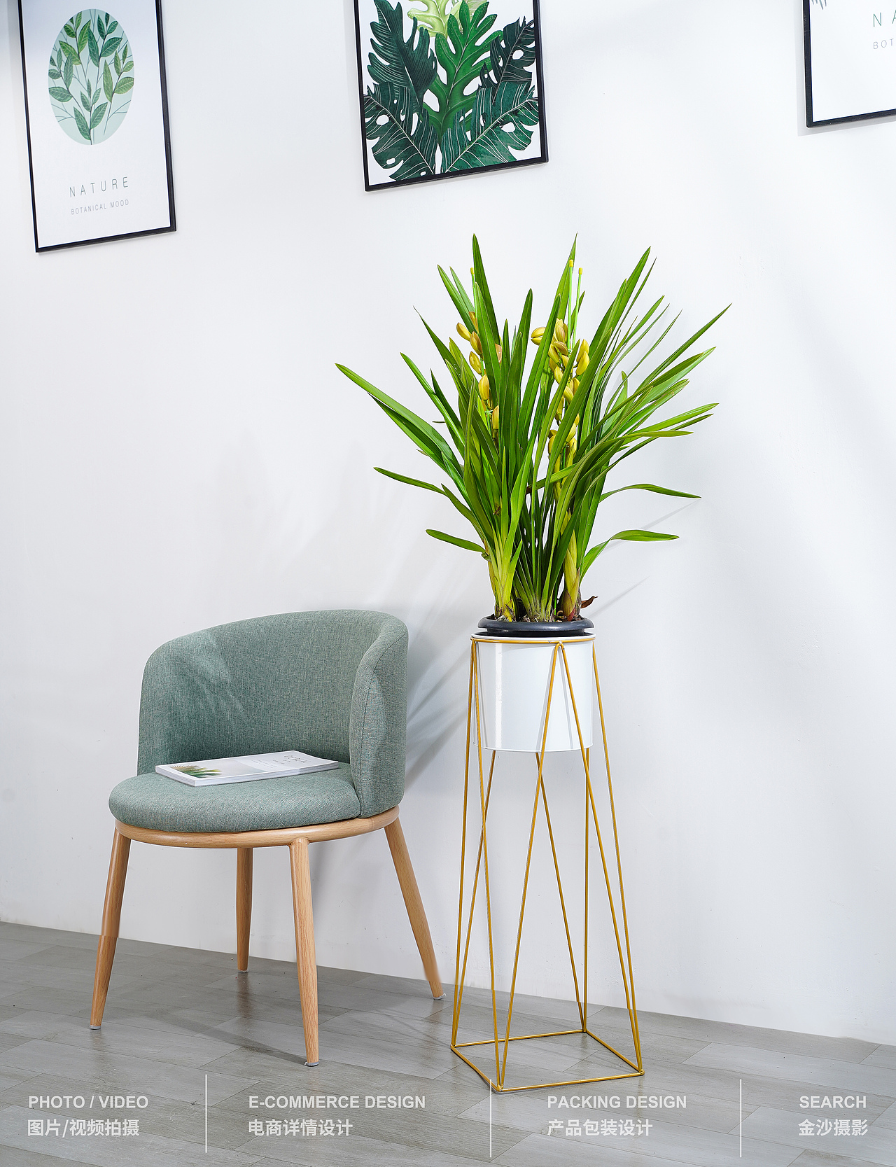 蕙兰/兰花/欧式花架/金色花架/盆栽/室内植物