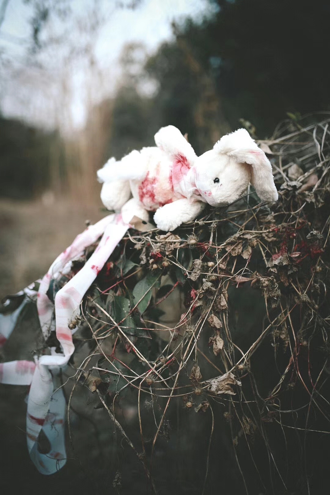 Lolita（图ZMjE1NzkxOTcy） - 人像摄影 - 站酷设计师一又双叒叕原创素材 - 站酷ZCOOL