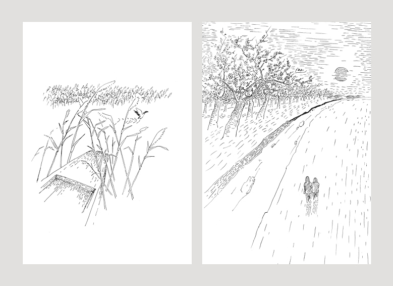 杂文书封设计及插画（图ZMTY1ODY1MjQ=） - 书籍/画册 - 站酷设计师沈遇原创素材 - 站酷ZCOOL