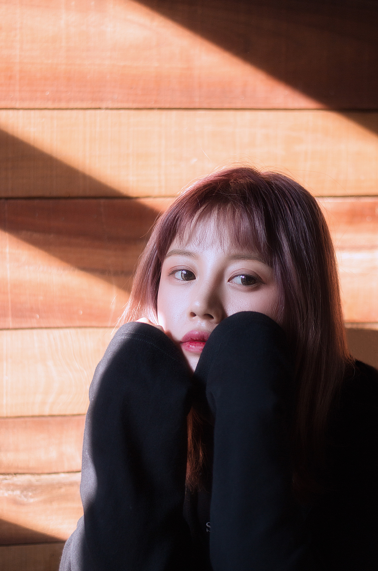 也有阳光也有你