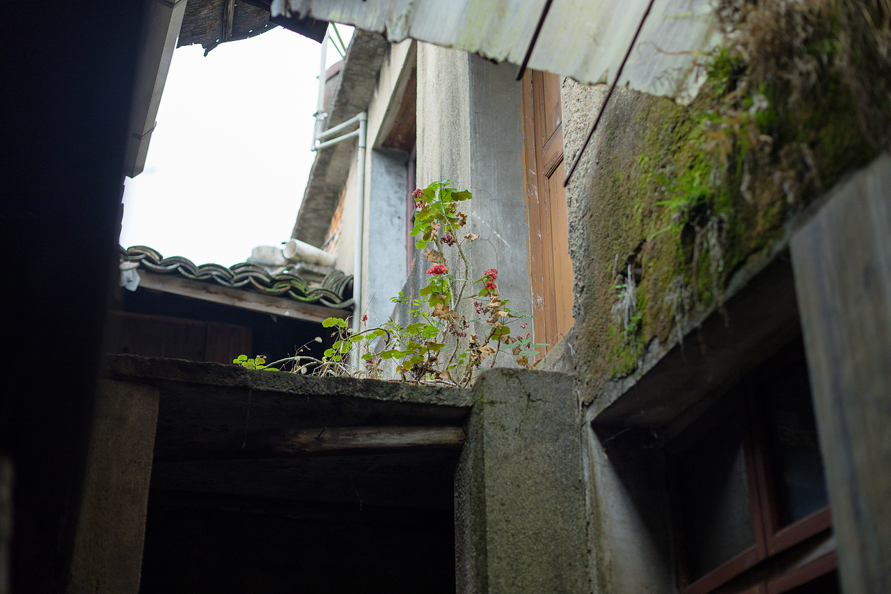 到了腌咸菜的季节 