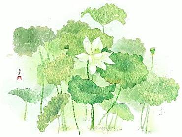 一组植物插画