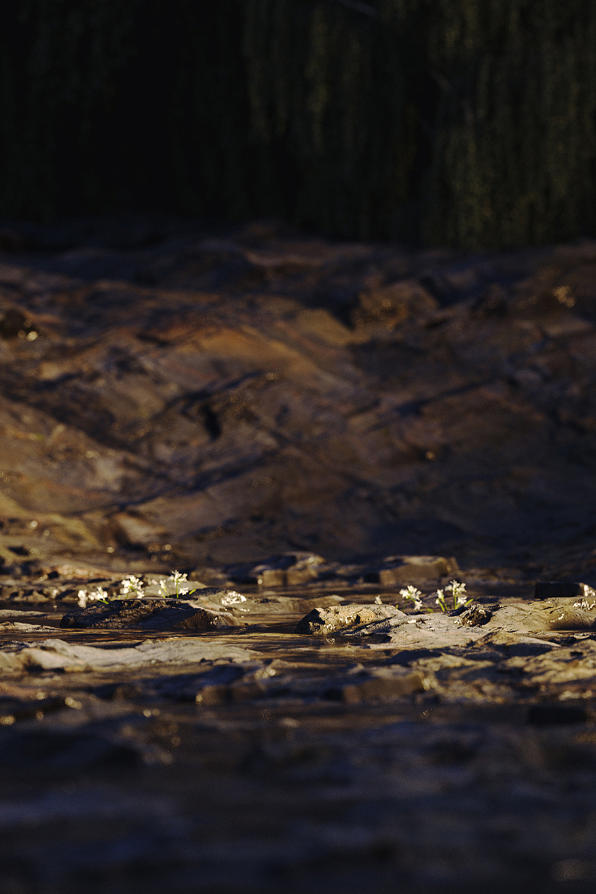 Elsa（图ZMTkwODU2MTg4） - 场景 - 站酷设计师GengXiHR原创素材 - 站酷ZCOOL