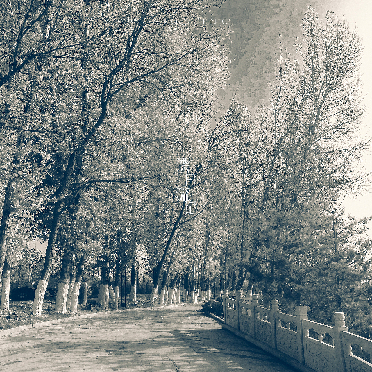 漂流日记【手机摄影】