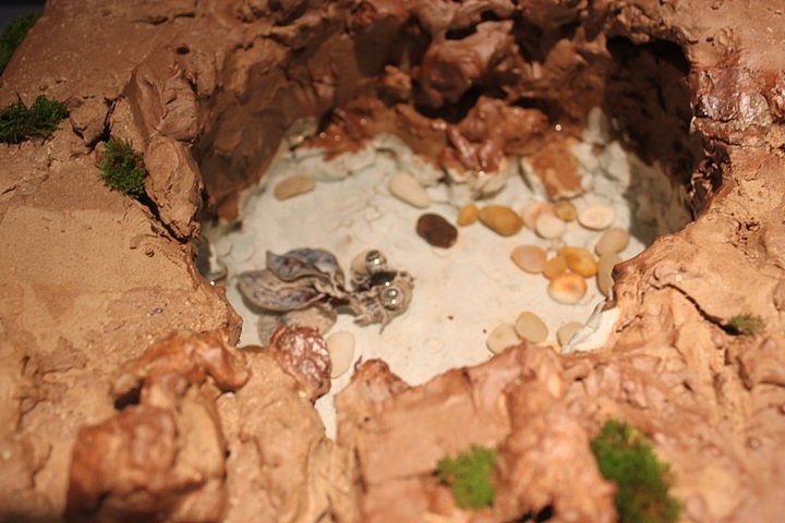 2013届景德镇陶瓷学院陶艺毕业展