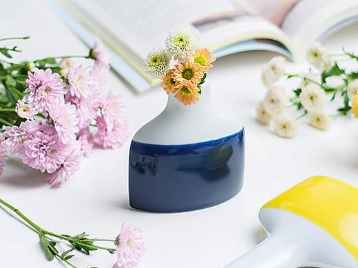 创意陶瓷花瓶拍摄