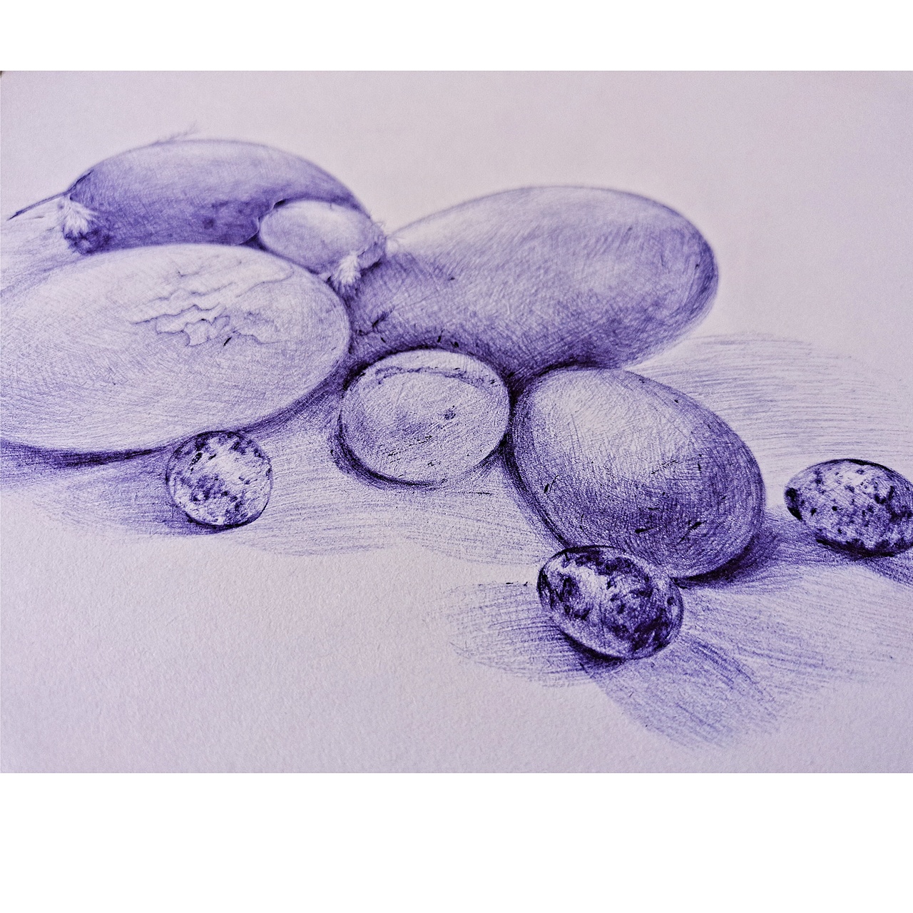 圆珠笔静物系列