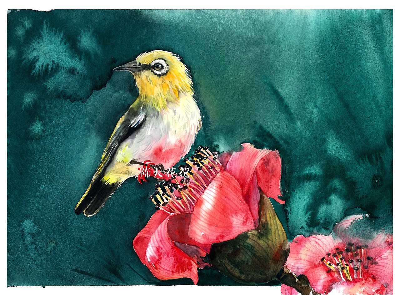 水彩木棉花与绣眼鸟