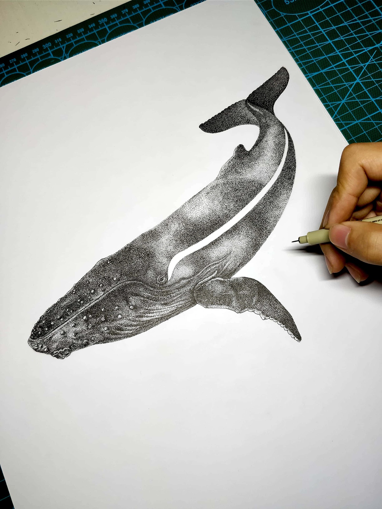 黑白插画（图ZOTU1MTIwMTY=） - 创作习作 - 站酷设计师杨陶昰昱_ShiYu原创素材 - 站酷ZCOOL