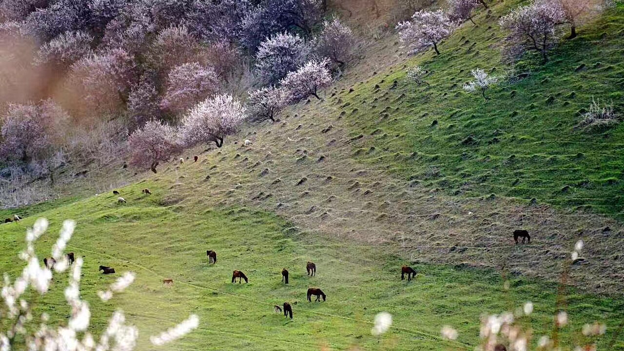 摄影|旅行随拍。
