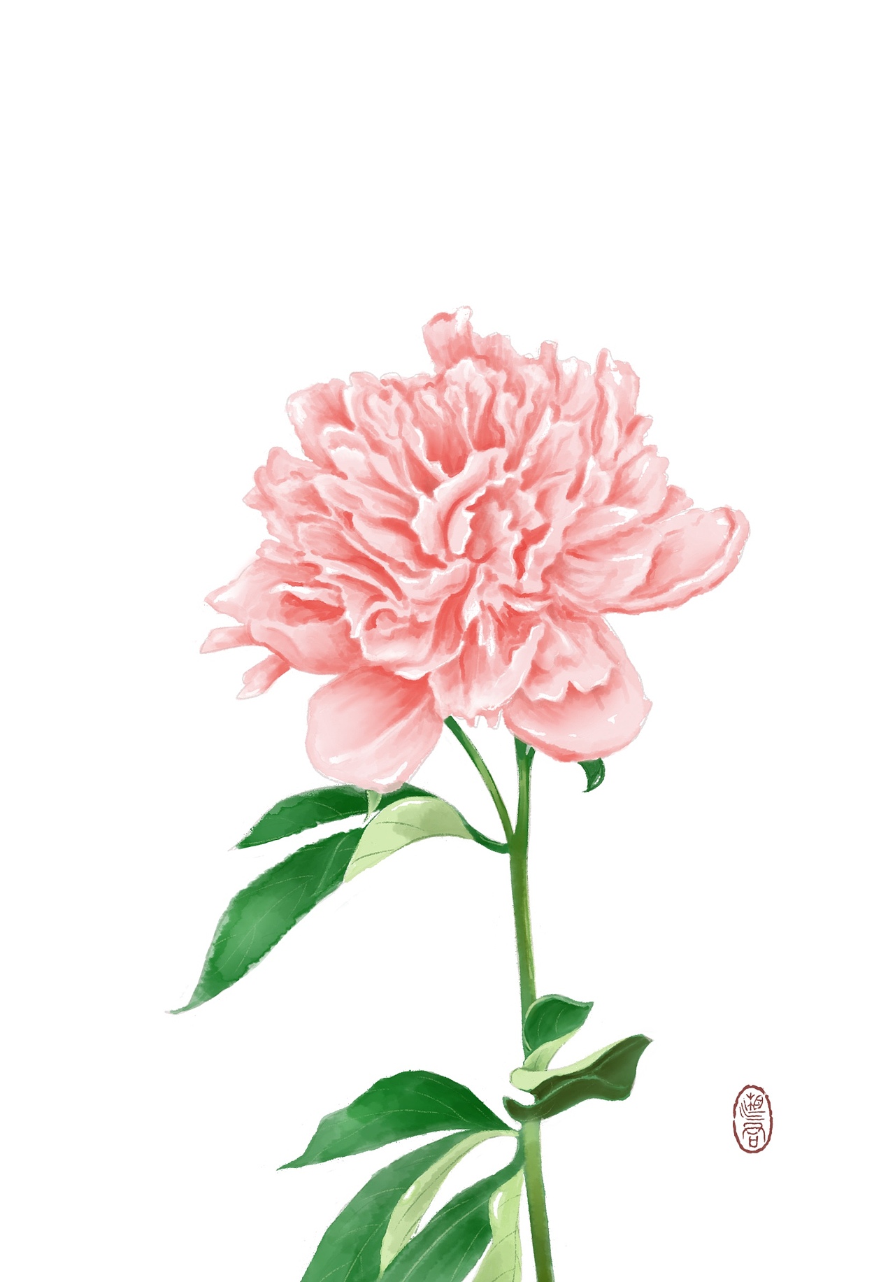 花卉系列——水彩风格