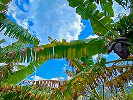 感谢官方大大，上热门