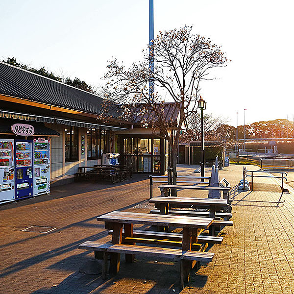 浮光日本（图ZMjc3NzEyNzY=） - 风光摄影 - 站酷设计师pigmantse原创素材 - 站酷ZCOOL