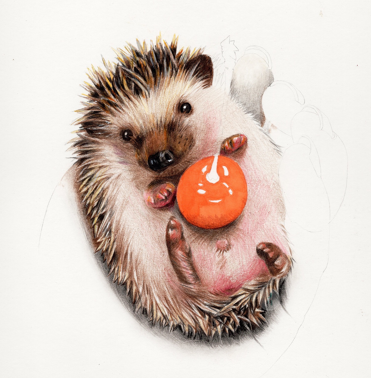 彩铅| 刺猬超写实
