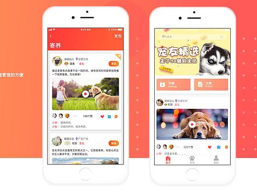 宠物类APP