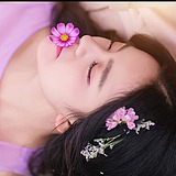梦幻七色花的头像