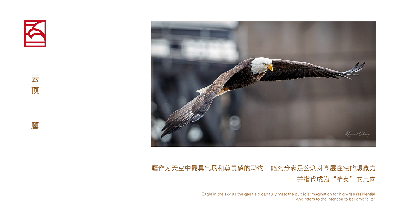 黑黑的动物（图ZNTc0MjA1NTI=） - 宣传物料 - 站酷设计师放牛的鱼原创素材 - 站酷ZCOOL