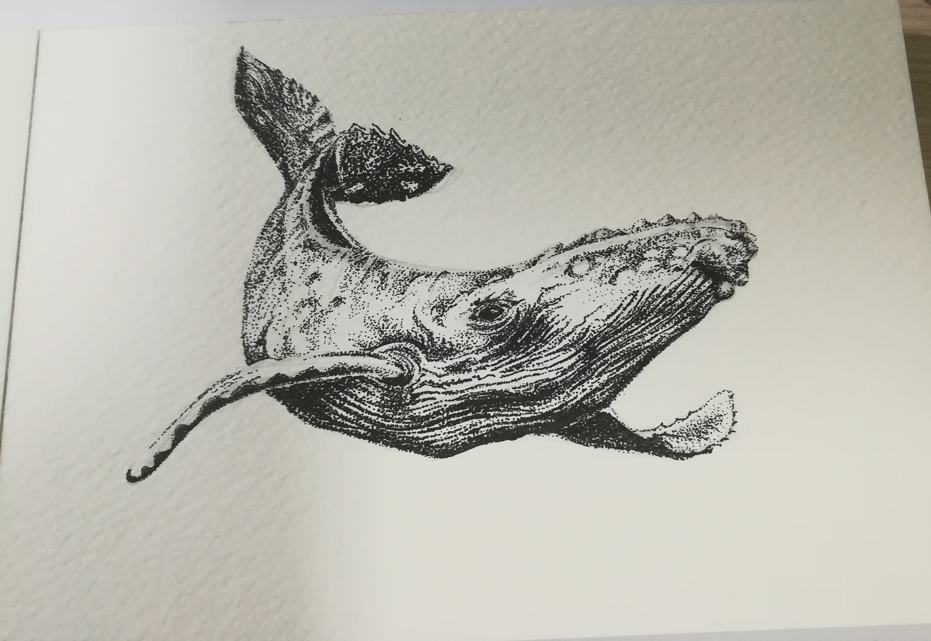 鲸|纯艺术|绘画|老树林 - 原创作品 - 站酷 (zcool)