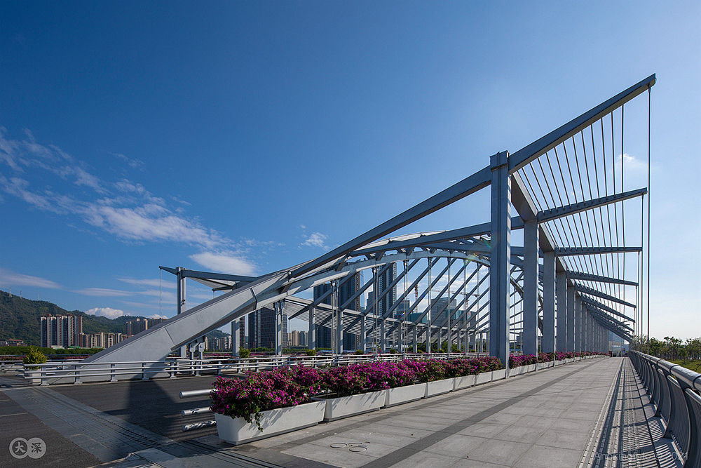 深圳前海 梦海前河湾桥及听海大桥