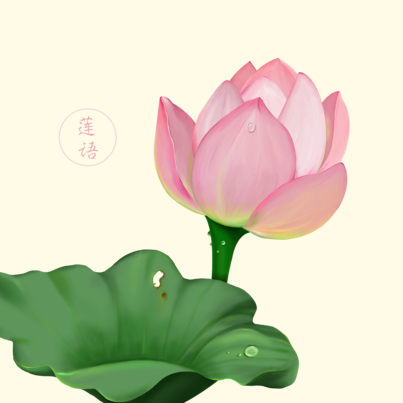 佛教莲花手绘图片