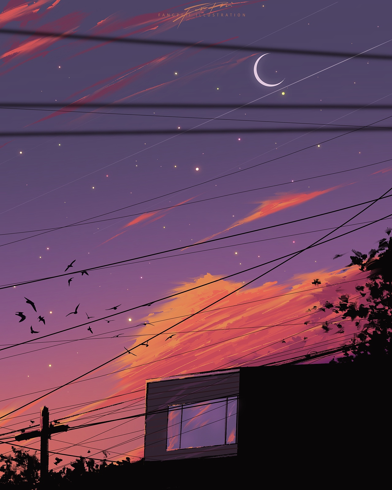 第一期直播画粉丝图小结