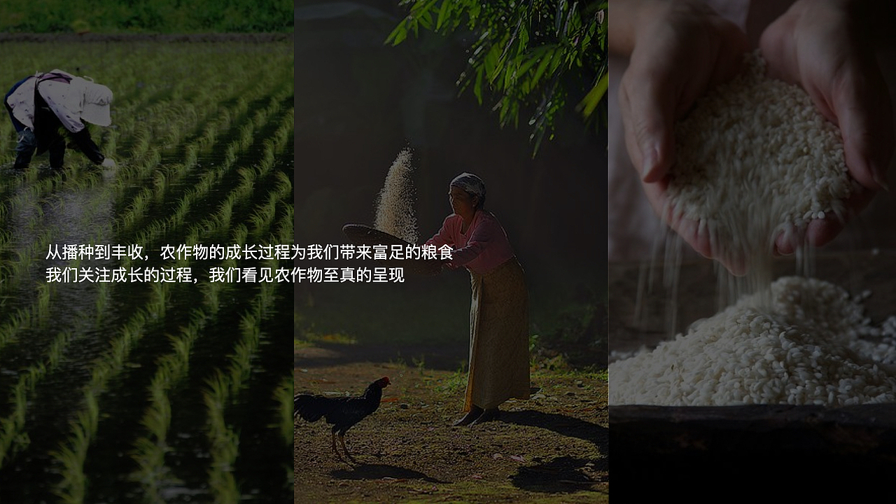五谷杂粮vi设计_食品包装设计-一方耘品牌全案策划设计