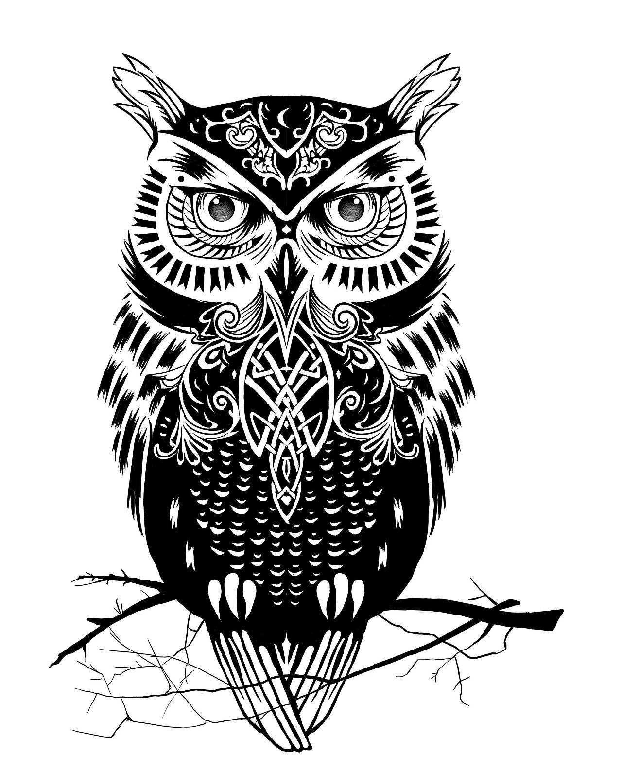 猫头鹰 装饰性插画